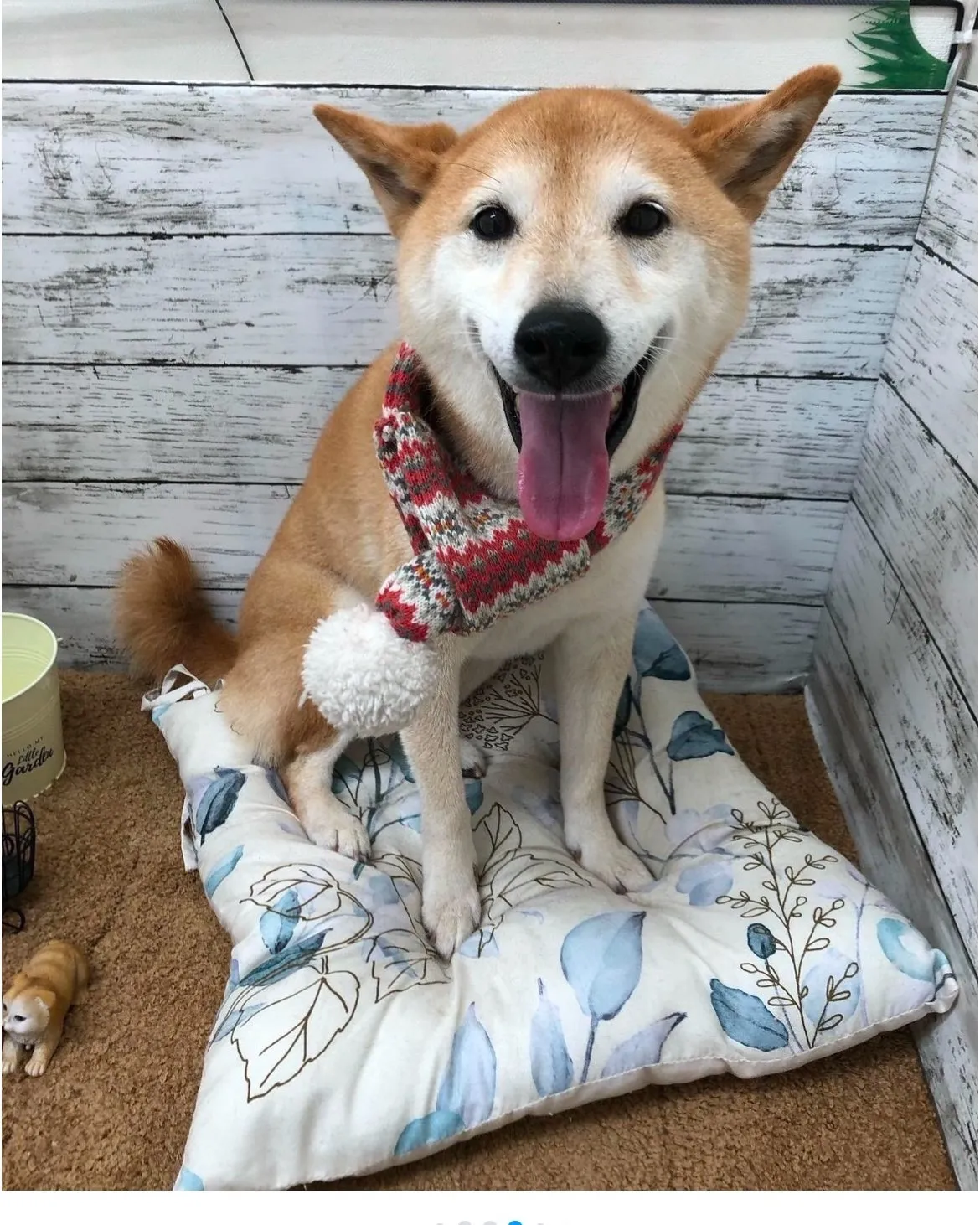 2025年がスタート